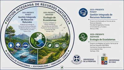 Courses as invited lecturer featured image